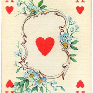 Meet your Posher, Allie